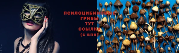 гашишное масло Каменногорск