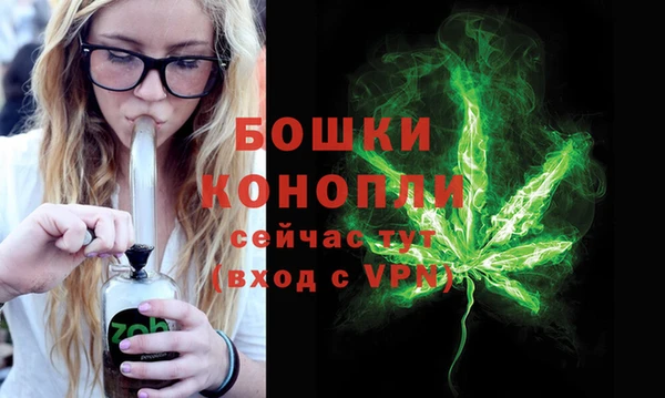 гидропоника Каменка
