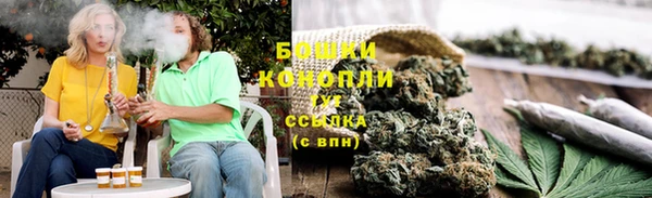 гидропоника Каменка