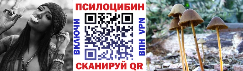 Псилоцибиновые грибы мицелий  Ливны 